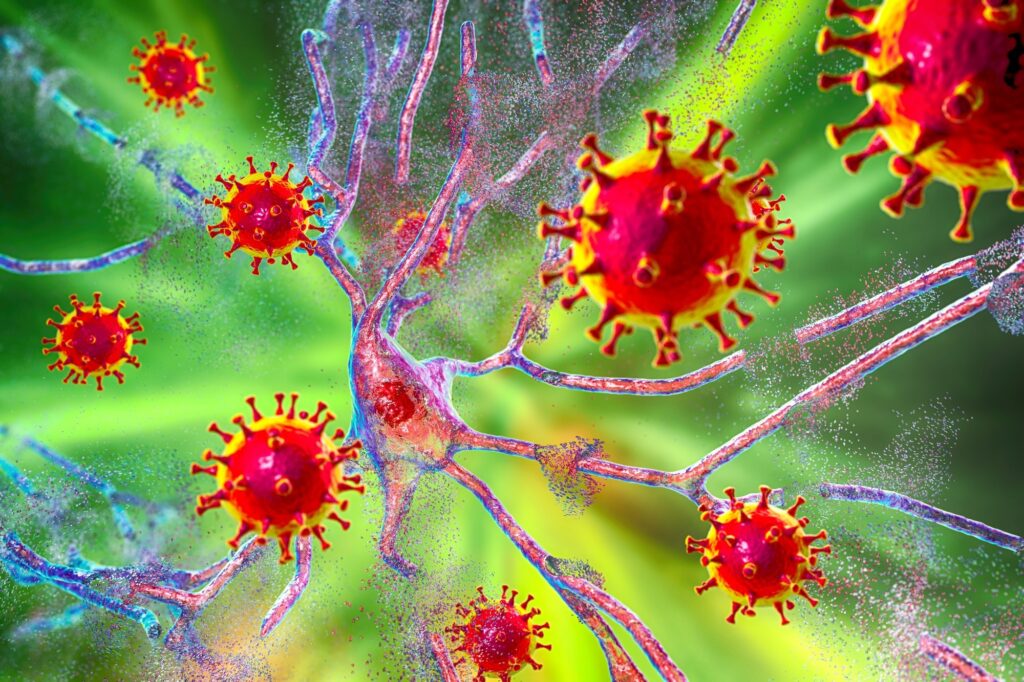 Study: Morphological, cellular, and molecular basis of brain infection in COVID-19 patients. Image Credit: Kateryna Kon/Shutterstock