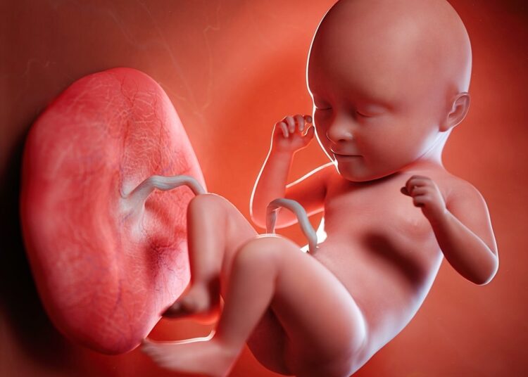 Study: The placental pathology in Coronavirus disease 2019 infected mothers and its impact on pregnancy outcome. Image Credit: SciePro / Shutterstock.com