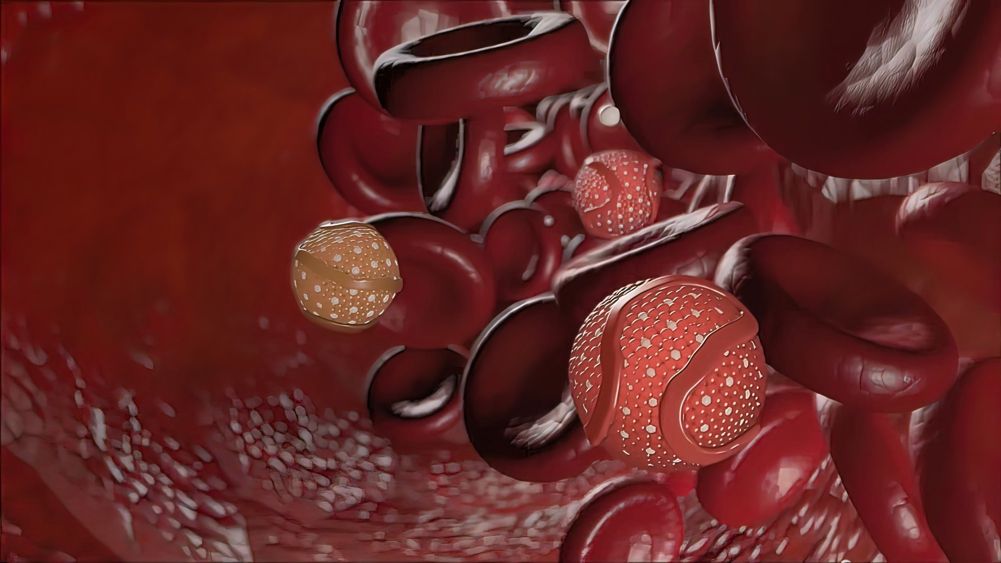 Study: High-density lipoproteins may play a crucial role in COVID-19. Image Credit: piccreative/Shutterstock
