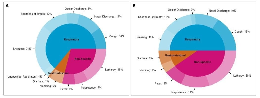 Signes cliniques rapportés chez le chat (n=55 ; A) et le chien (n=42 ; B).  Sur 97 animaux présentant des signes cliniques, la proportion de chaque signe clinique affiché est indiquée au sein de chaque espèce.  Étant donné qu'un animal donné peut présenter plusieurs signes cliniques, les pourcentages sont calculés en fonction du nombre de signes affichés et non par animal individuel.
