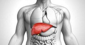 Comment garder son foie en bonne santé et en pleine forme