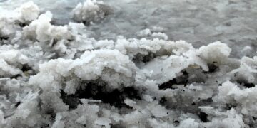 Le magnésium : un oligo-élément qui joue un rôle important au sein de l’organisme