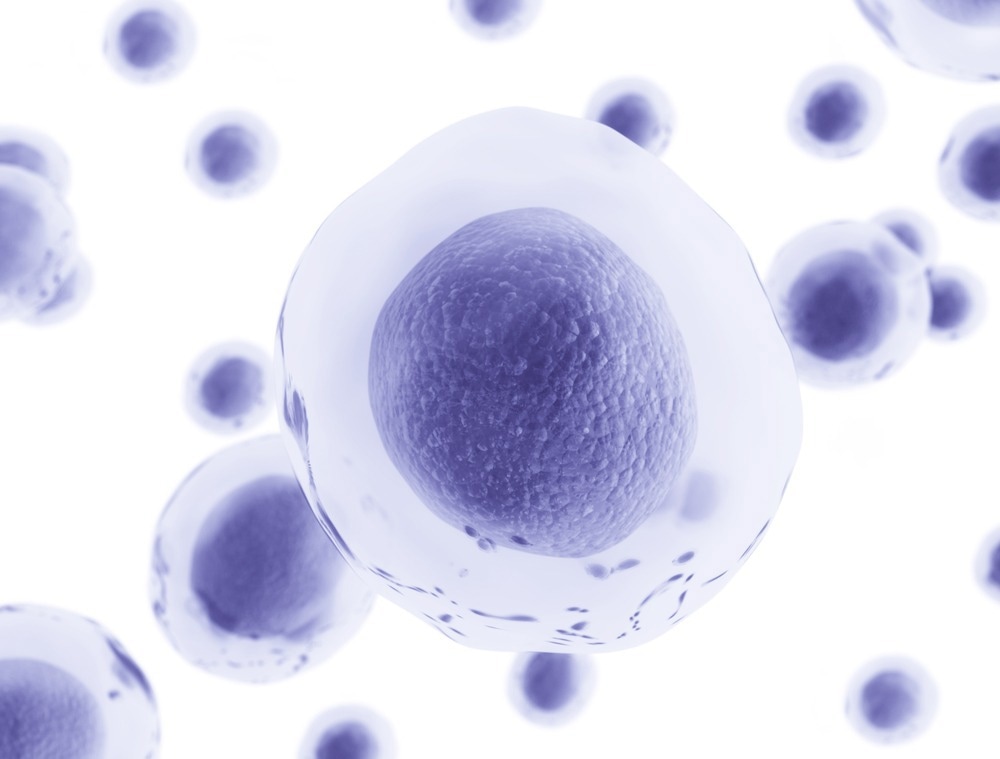 Study: Bat pluripotent stem cells reveal unique entanglement between host and viruses. Image Credit: Jezper / Shutterstock.com