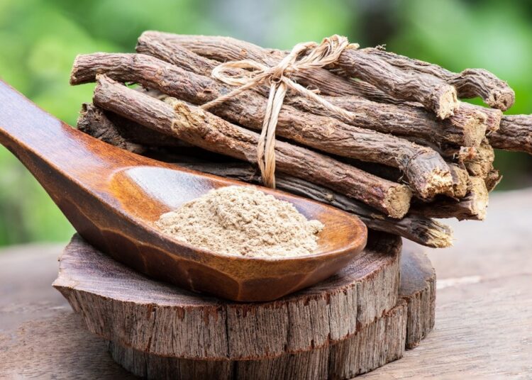 Study: Exploring the mechanism of action of licorice in the treatment of COVID-19 through bioinformatics analysis and molecular dynamics simulation. Image Credit: wasanajai / Shutterstock.com