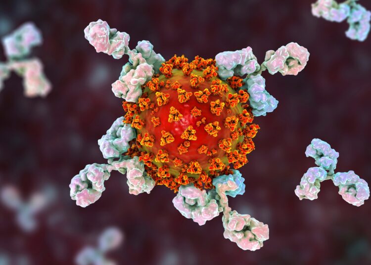 Study: Host specific sensing of coronaviruses and picornaviruses by the CARD8 inflammasome. Image Credit: Kateryna Kon / Shutterstock