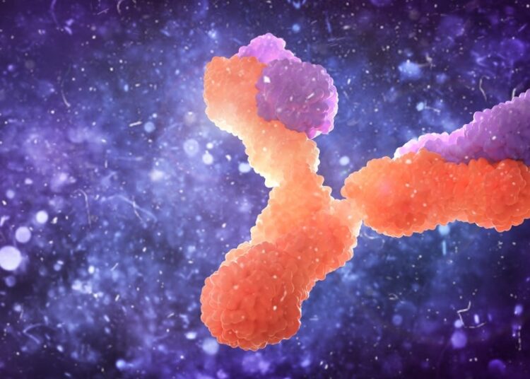 Study: Novel monoclonal antibodies showing broad neutralizing activity for SARS-CoV-2 variants including Omicrons BA.5 and BA.2.75. Image Credit: vipman/Shutterstock