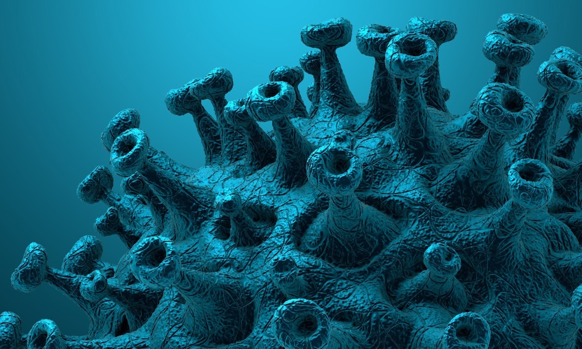Study: SIRT5 is a proviral factor that interacts with SARS-CoV-2 Nsp14 protein. Image Credit: CROCOTHERY/Shutterstock