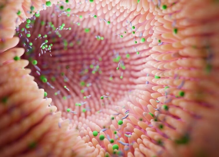 Study: The gut mycobiome in health, disease, and clinical applications in association with the gut bacterial microbiome assembly. Image Credit: Troyan/Shutterstock