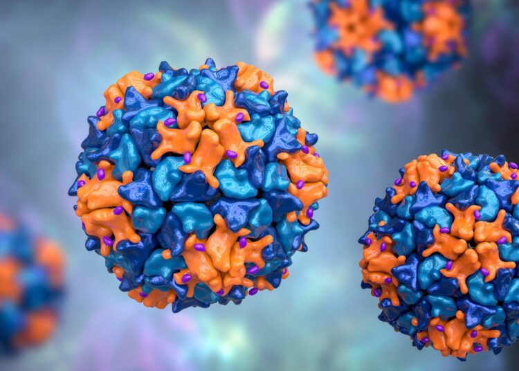 Rapid communication: Emergence of genetically linked vaccine-originated poliovirus type 2 in the absence of oral polio vaccine, Jerusalem, April to July 2022. Image Credit: Kateryna Kon / Shutterstock