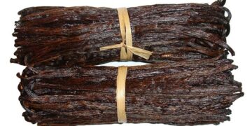 La vanille et ses bienfaits incomparables sur la santé