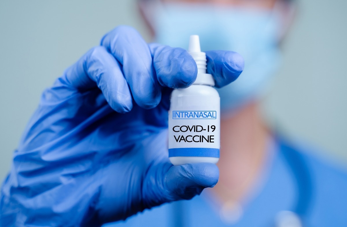 Study: Intranasal Immunization with Liposome-Displayed Receptor-Binding Domain Induces Mucosal Immunity and Protection against SARS-CoV-2. Image Credit: WESTOCK PRODUCTIONS/Shutterstock