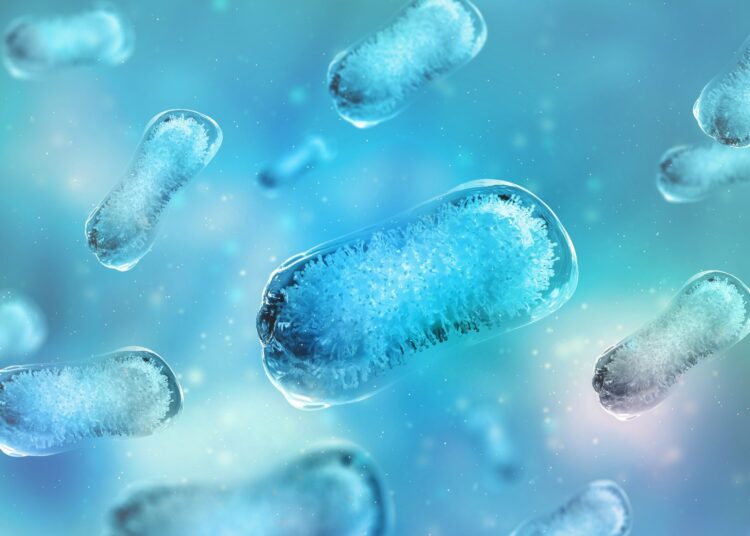 Study: Evolution of antibody immunity following Omicron BA.1 breakthrough infection. Image Credit: Yurchanka Siarhei/Shutterstock