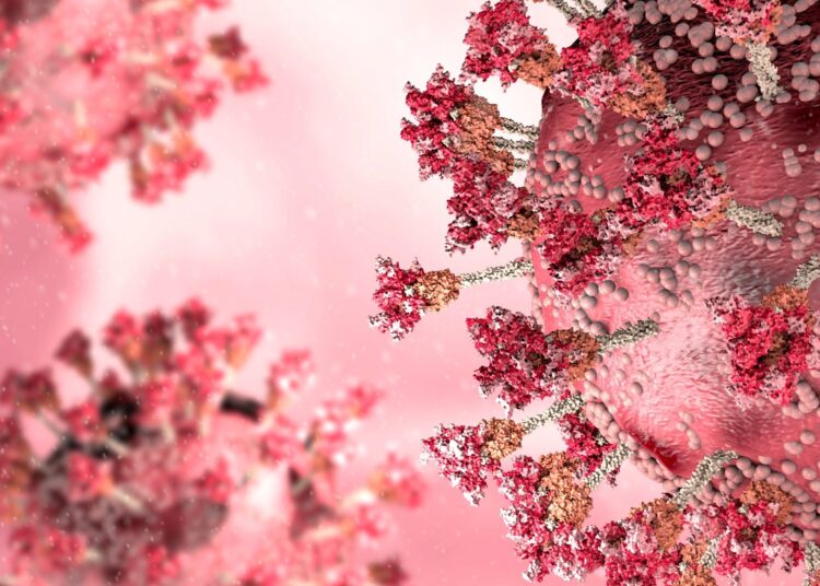 Study: Exposure to BA.4/BA.5 Spike glycoprotein drives pan-Omicron neutralization in vaccine-experienced humans and mice. Image Credit: Naeblys / Shutterstock