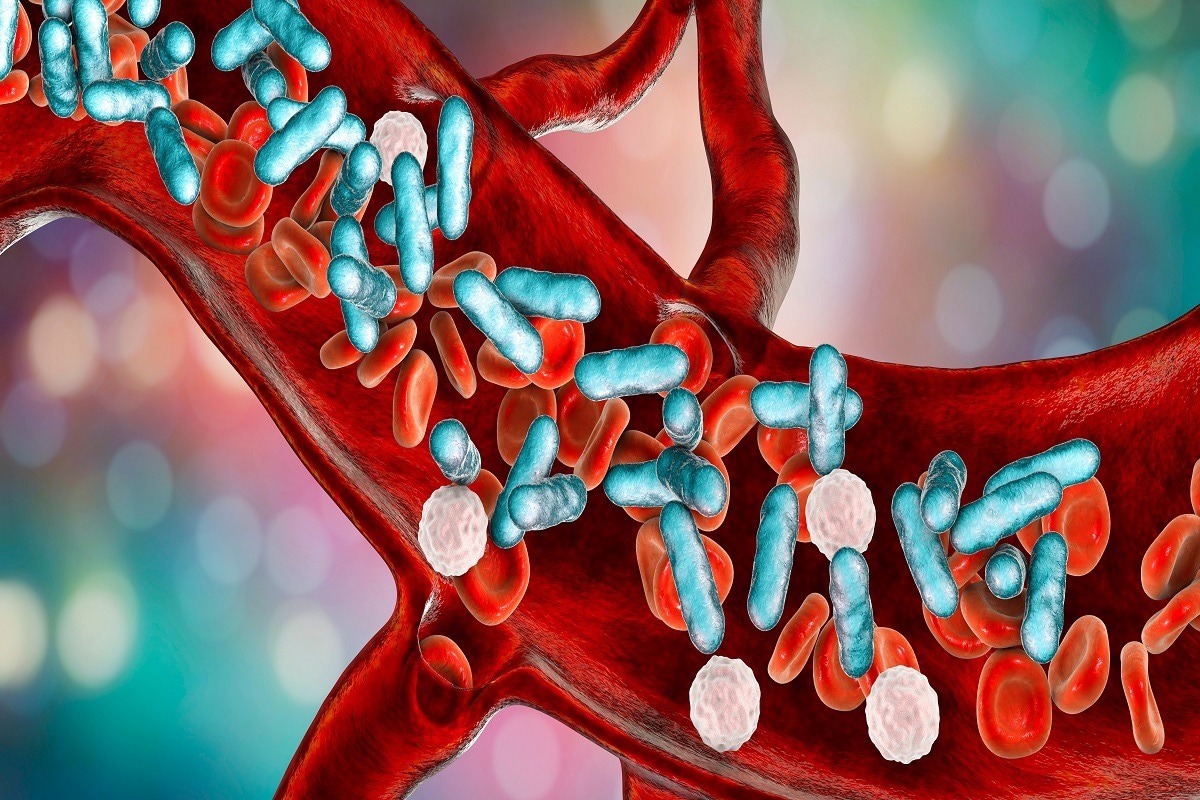Crédit d'image : Kateryna Kon/Shutterstock