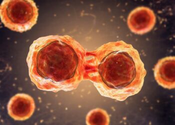 Study: Parallel use of pluripotent human stem cell lung and heart models provide new insights for treatment of SARS-CoV-2. Image Credit: Kateryna Kon / Shutterstock