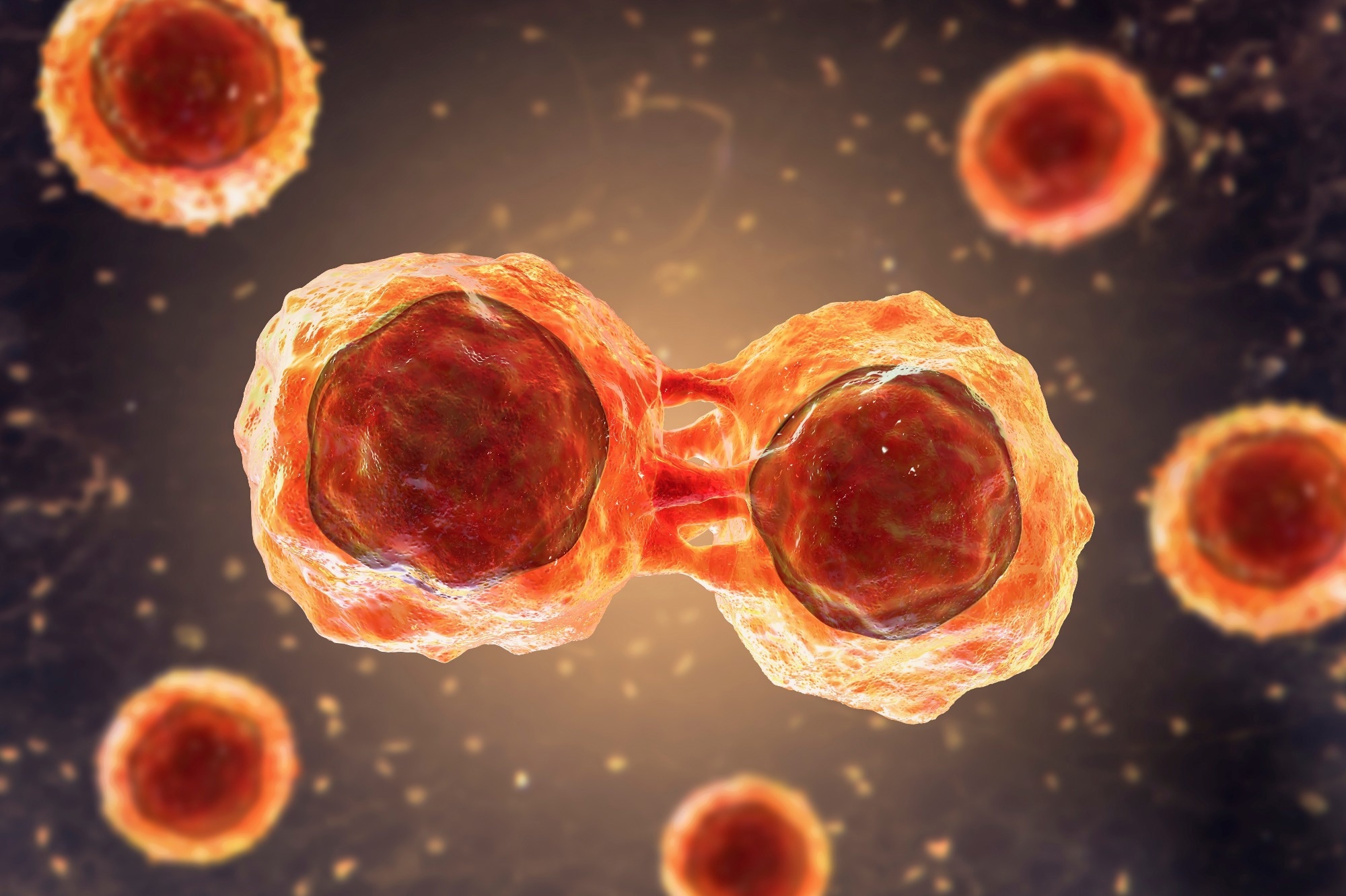 Study: Parallel use of pluripotent human stem cell lung and heart models provide new insights for treatment of SARS-CoV-2. Image Credit: Kateryna Kon / Shutterstock