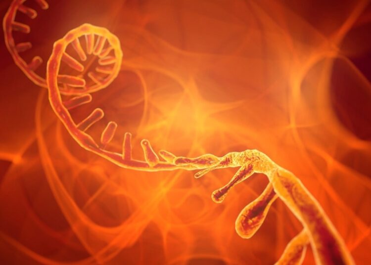 Study: Variant-Specific Analysis Reveals a Novel Long-Range RNA-RNA Interaction in SARS-CoV-2 Orf1a. Image Credit: CROCOTHERY/Shutterstock