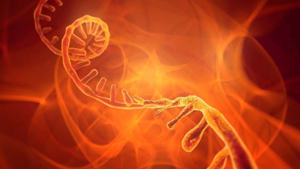 Study: Variant-Specific Analysis Reveals a Novel Long-Range RNA-RNA Interaction in SARS-CoV-2 Orf1a. Image Credit: CROCOTHERY/Shutterstock