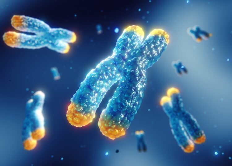 Study: The alternative lengthening of telomeres mechanism jeopardizes telomere integrity if not properly restricted. Image Credit: nobeastsofierce/Shutterstock