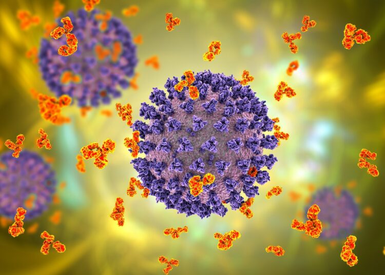 Study: Omicron sublineage BA.2.75.2 exhibits extensive escape from neutralising antibodies. Image Credit: Kateryna Kon /Shutterstock