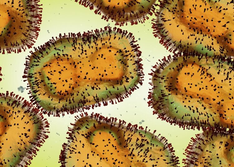 Study: A bioinformatics approach to systematically analyze the molecular patterns of monkeypox virus-host cell interactions. Image Credit: Dotted Yeti / Shutterstock