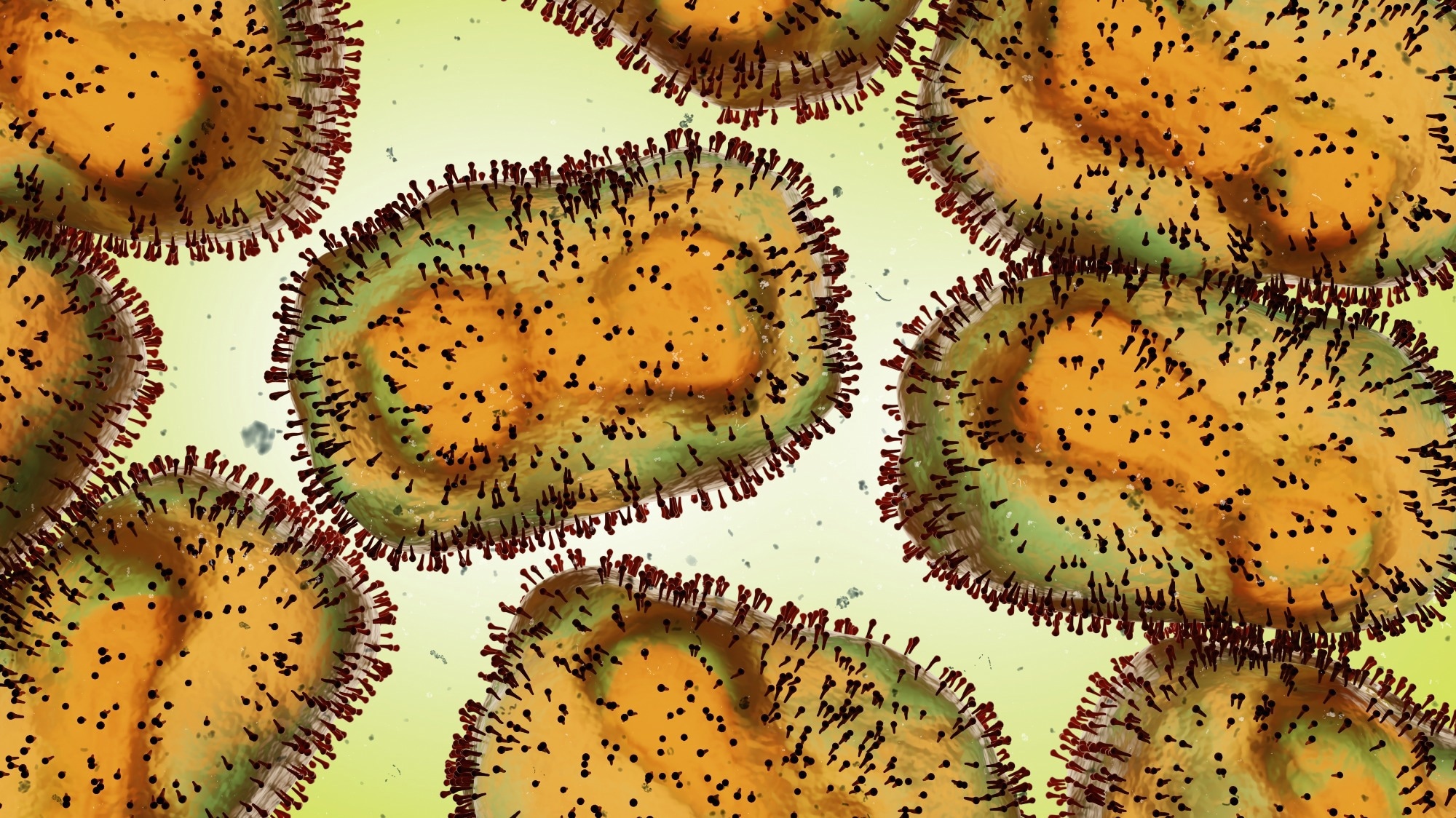 Study: A bioinformatics approach to systematically analyze the molecular patterns of monkeypox virus-host cell interactions. Image Credit: Dotted Yeti / Shutterstock