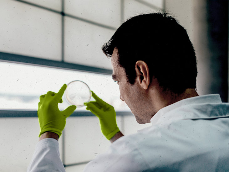 Diabète : pourquoi une protéine bactérienne intestinale peut fournir une nouvelle voie de traitement