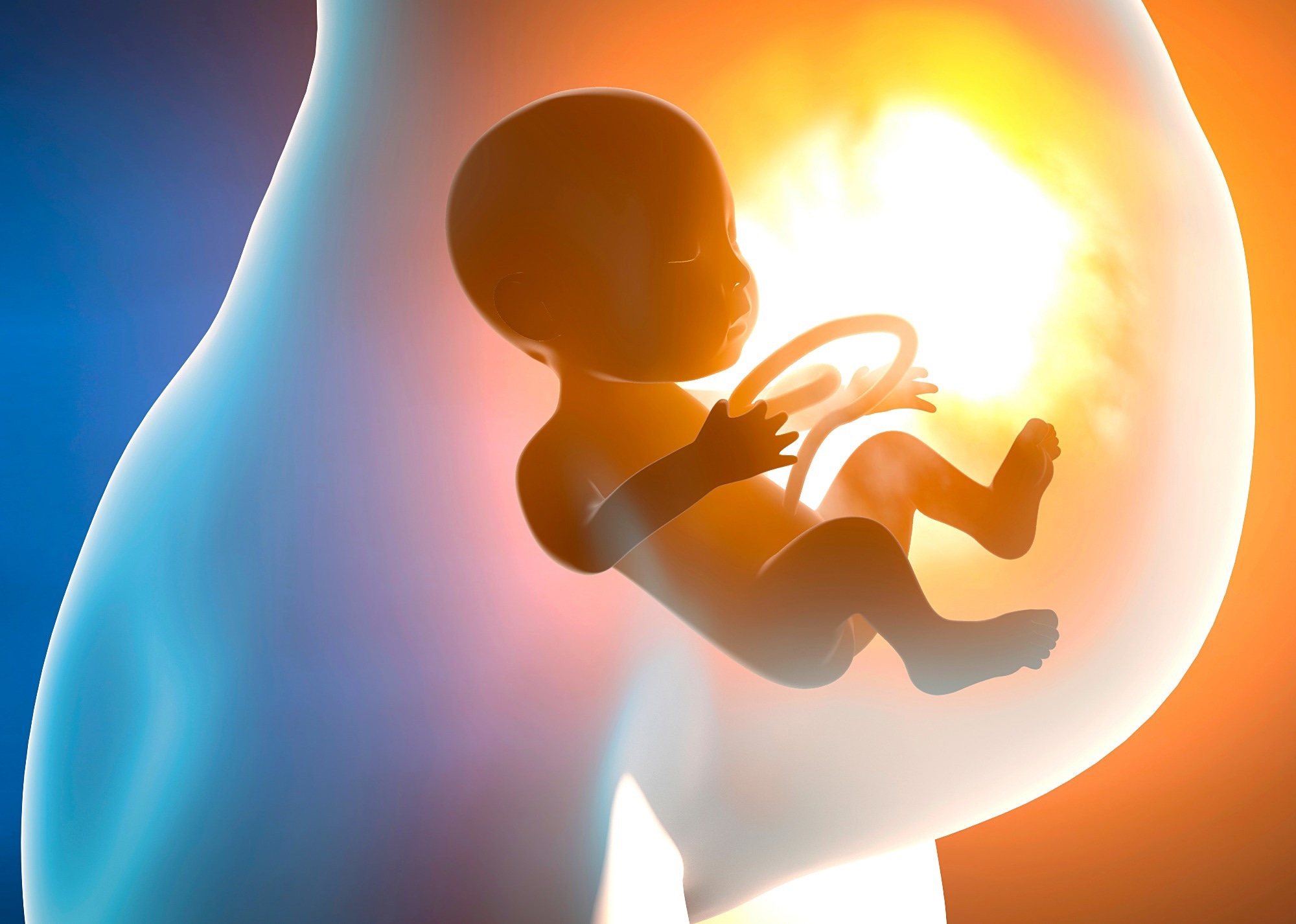 Study: Impact of COVID-19 related maternal stress on fetal brain development: A Multimodal MRI study. Image Credit: Naeblys / Shutterstock