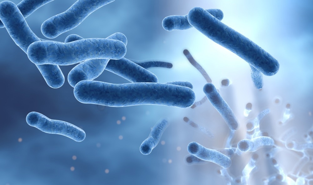 Study: Omnipose: a high-precision morphology-independent solution for bacterial cell segmentation. Image Credit: Axel_Kock/Shutterstock