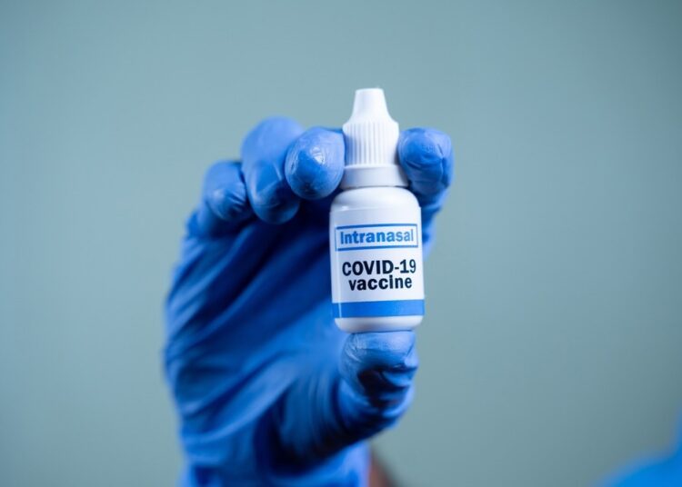 Study: Intranasal virus-particle mimicking vaccine enhances SARS-CoV-2 clearance in the Syrian hamster model. Image Credit: WESTOCK PRODUCTIONS/Shutterstock