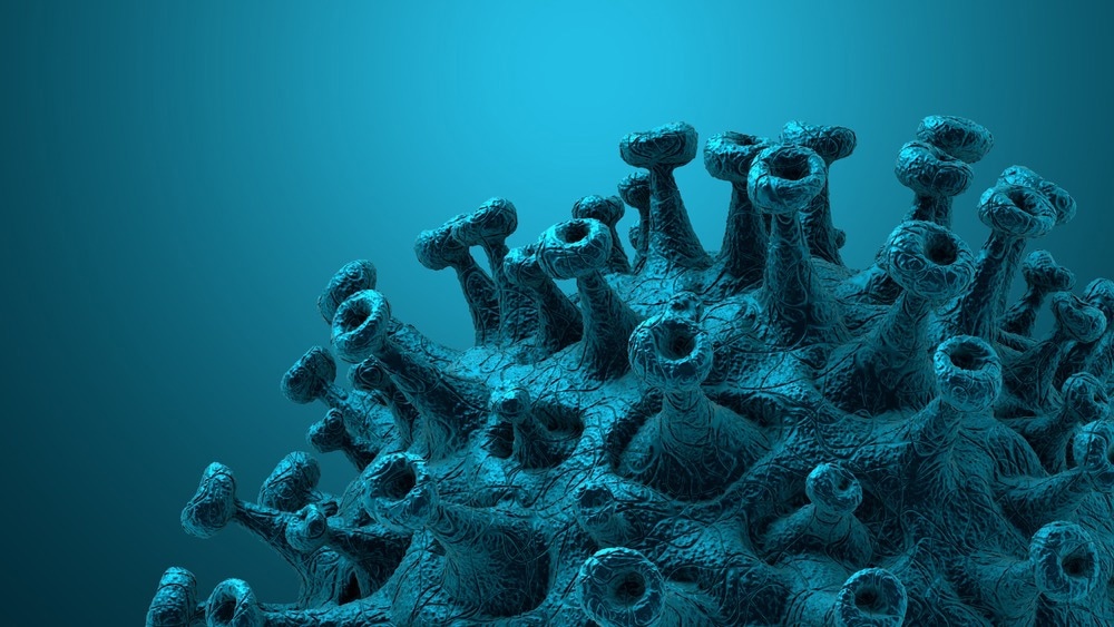 Study: Impact of vaccination on the presence and severity of symptoms of hospitalised patients with an infection by the Omicron variant (B.1.1.529) of the SARS-CoV-2 (subvariant BA.1). Image Credit: CROCOTHERY/Shutterstock