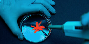 Le virus de l'herpès génétiquement modifié et tueur de cancer pourrait être capable de combattre les tumeurs