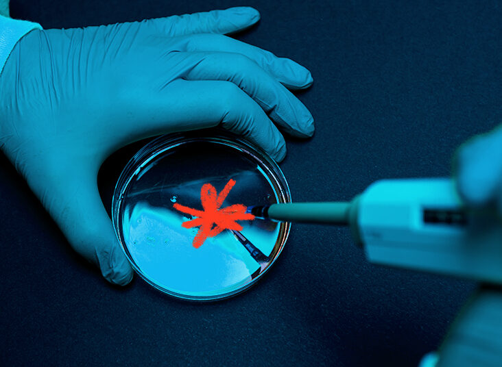 Le virus de l'herpès génétiquement modifié et tueur de cancer pourrait être capable de combattre les tumeurs