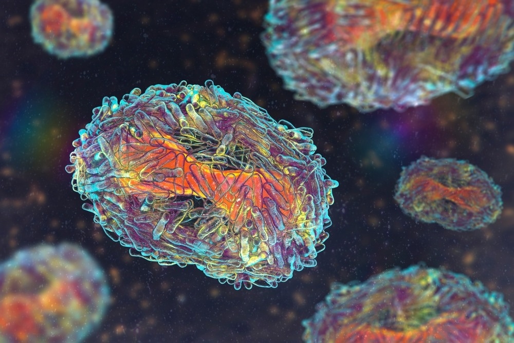 Study: Possible adaption of the 2022 Monkeypox virus to the human host through gene duplication and loss. Image Credit: Kateryna Kon/Shutterstock
