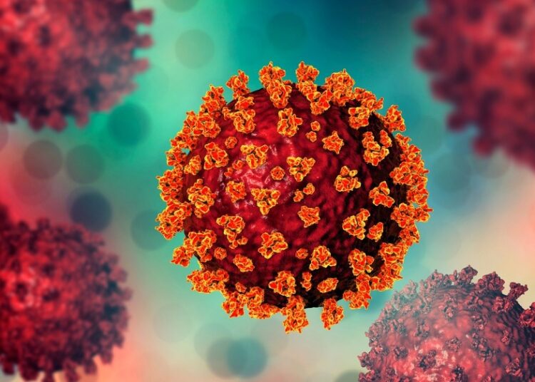 Study: Role of spike in the pathogenic and antigenic behavior of SARS-CoV-2 BA.1 Omicron. Image Credit: Kateryna Kon/Shutterstock