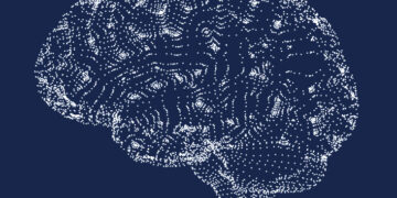 L'obésité a-t-elle plus à voir avec le cerveau qu'on ne le pensait au départ ?