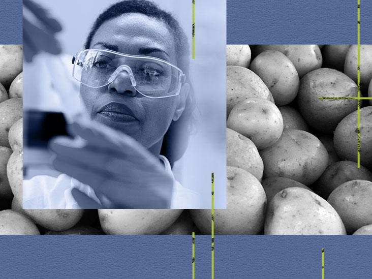 Un antibiotique provenant d'un microbe infectant la pomme de terre pourrait aider à traiter Candida