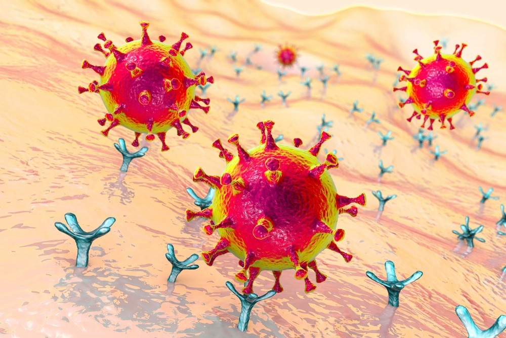 Study: The ACE-2 receptor accelerates but is not biochemically required for SARS-CoV-2 membrane fusion. Image Credit: Kateryna Kon/Shutterstock