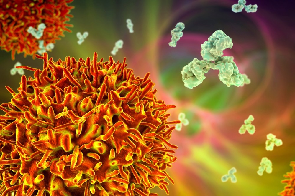 Study: Fate and plasticity of SARS-CoV-2-specific B cells during memory and recall response in humans. Image Credit: Kateryna Kon/Shutterstock