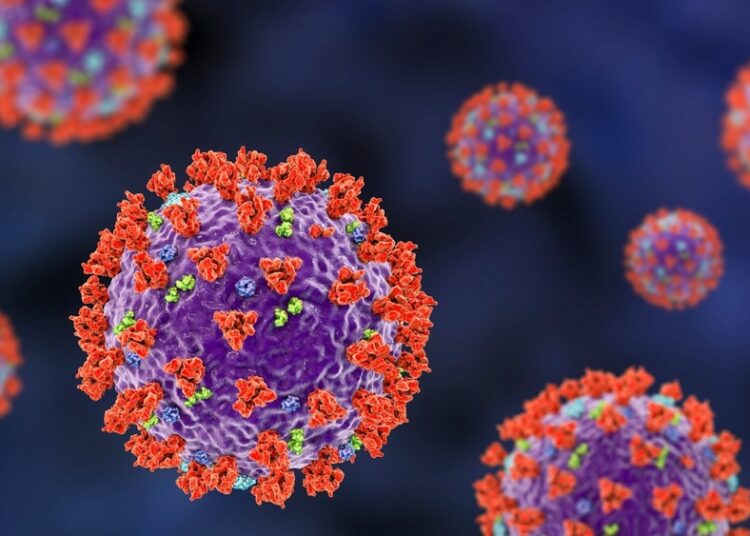 Study: Distinct phenotype of SARS-CoV-2 Omicron BA.1 in human primary cells but no increased host range in cell lines of putative mammalian reservoir species. Image Credit: Kateryna Kon/Shutterstock