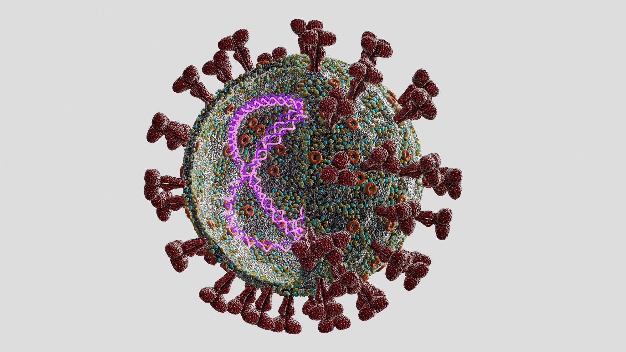 Study: Inhibition of the SARS-CoV-2 helicase at single-nucleotide resolution. Image Credit: atdigit/Shutterstock