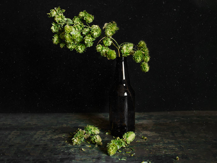 Alzheimer : les composés de houblon de la bière pourraient-ils aider à réduire les amas toxiques ?