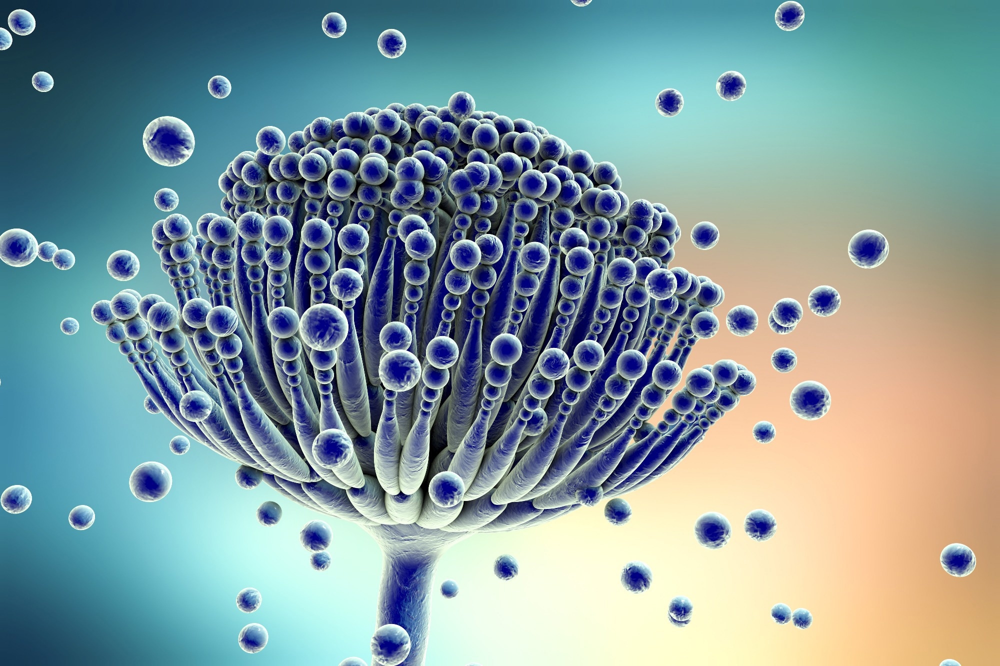 Study: Pan-cancer analyses reveal cancer-type-specific fungal ecologies and bacteriome interactions. Image Credit: Kateryna Kon / Shutterstock