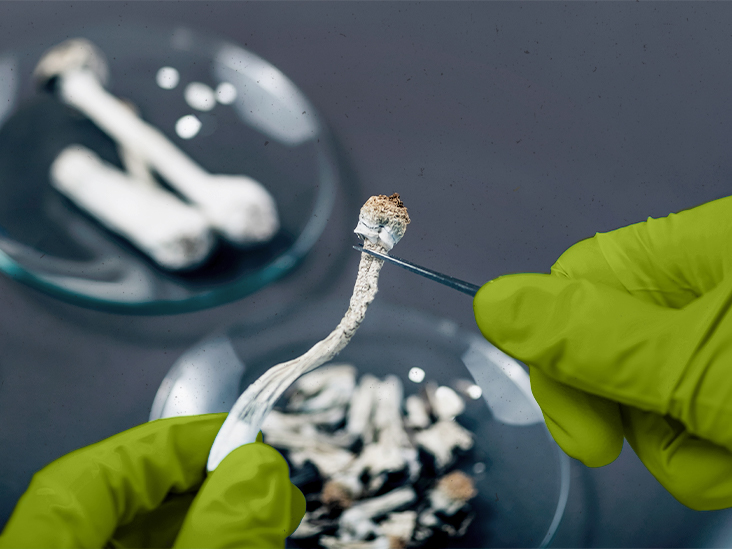 Champignons magiques : une dose unique peut soulager les symptômes de la dépression résistante au traitement