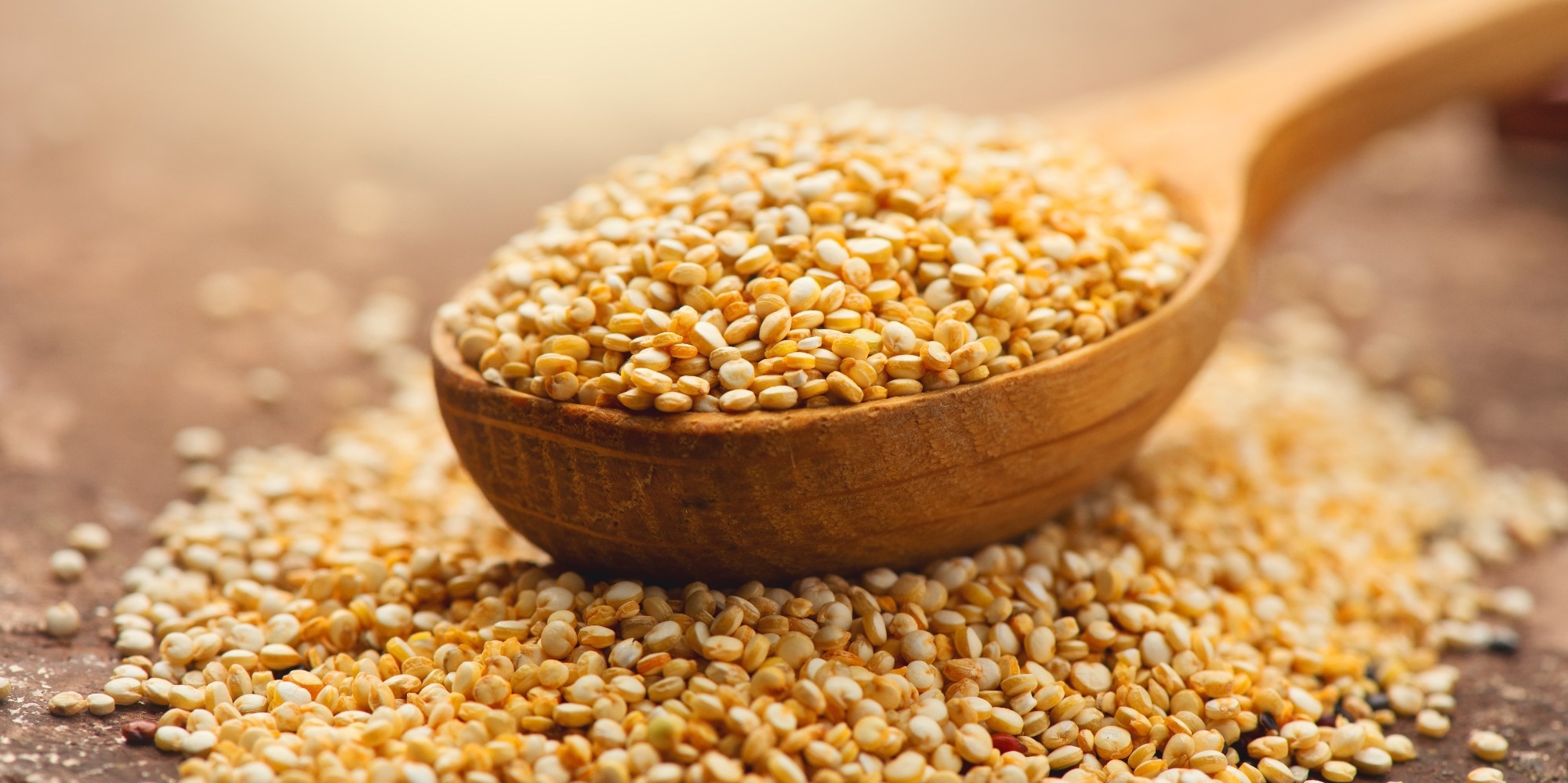 Study: Impact of Daily Consumption of Whole-Grain Quinoa-Enriched Bread on Gut Microbiome in Males. Image Credit: Subbotina Anna / Shutterstock