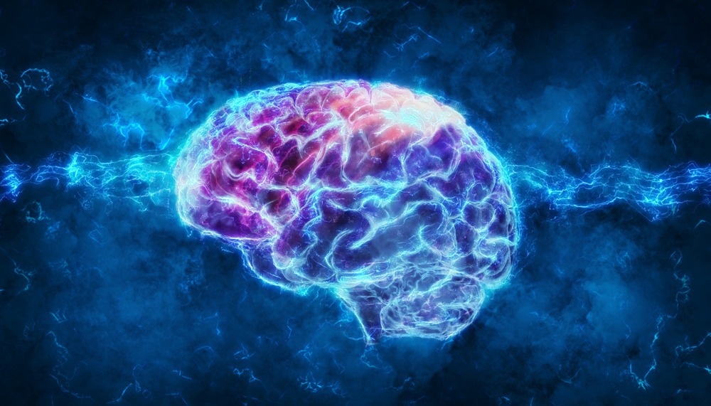 Study: Functional Integration of 3D-Printed Cerebral Cortical Tissue into a Brain Lesion. Image Credit: Andrus Ciprian/Shutterstock