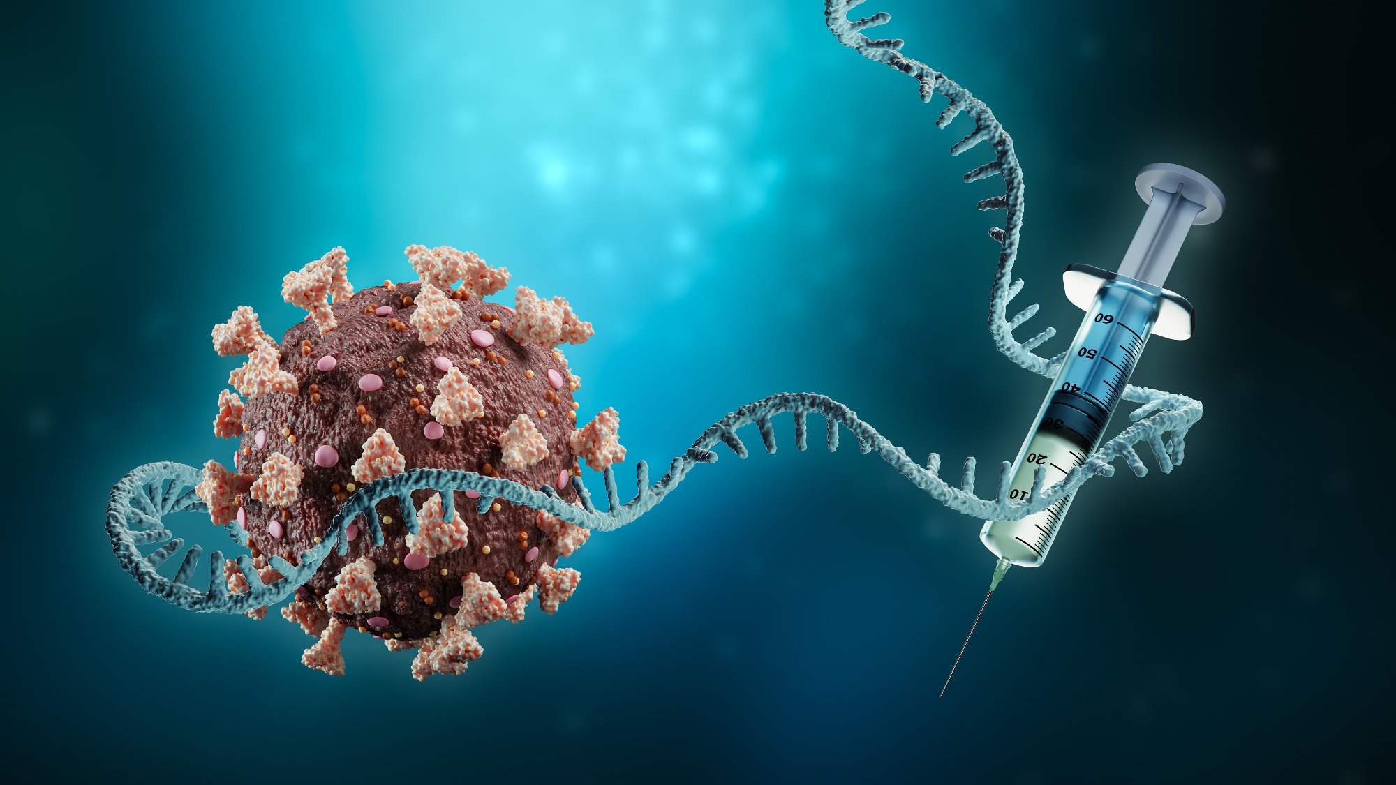Study: Effectiveness of mRNA COVID-19 vaccine booster doses against Omicron severe outcomes. Image Credit: MattLphotography/Shutterstock