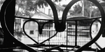 Insuffisance cardiaque: l'accumulation de fer après une crise cardiaque peut être une cause, selon une étude