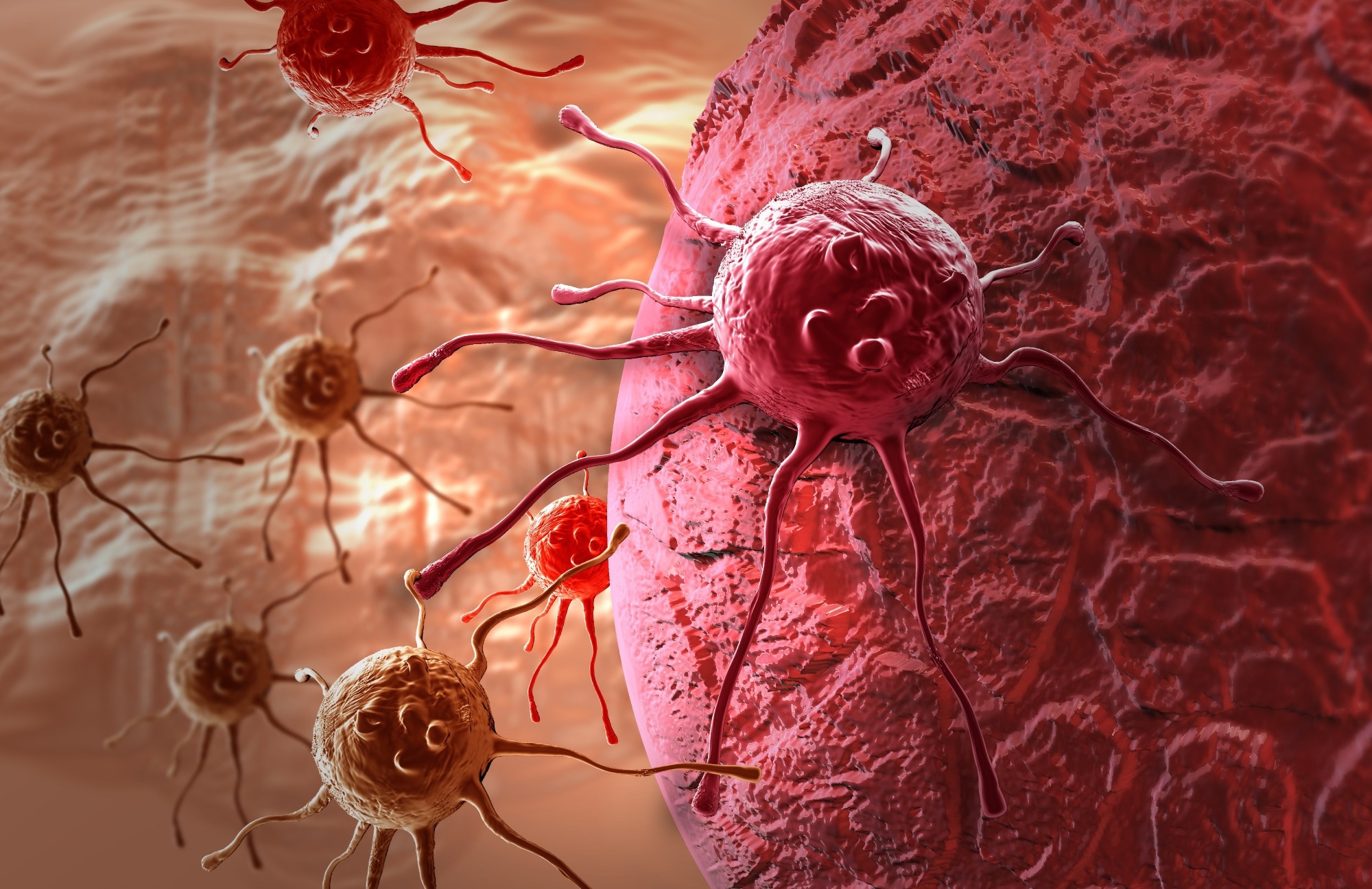 Study: Effect of the intratumoral microbiota on spatial and cellular heterogeneity in cancer. Image Credit: jovan vitanovski / Shutterstock