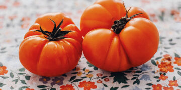 Les tomates liées à une meilleure santé intestinale, selon une étude